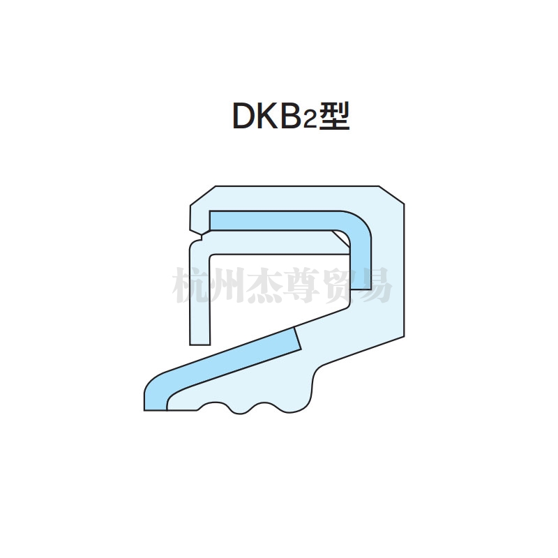 武漢NDK油封 DKB2型